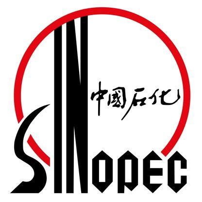 SINOPEC Research Institute of Petroleum Engineerin