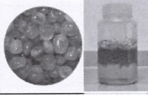 1761723339932021170.png 创新奖16.png