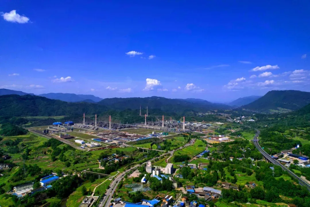 1764039706672038630.jpg 1764039706672038630.jpg