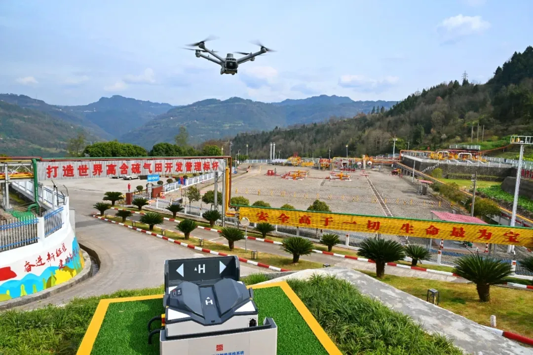 1764039724671044149.jpg 1764039724671044149.jpg