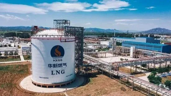 1765778227878060750.jpg 12151.jpg